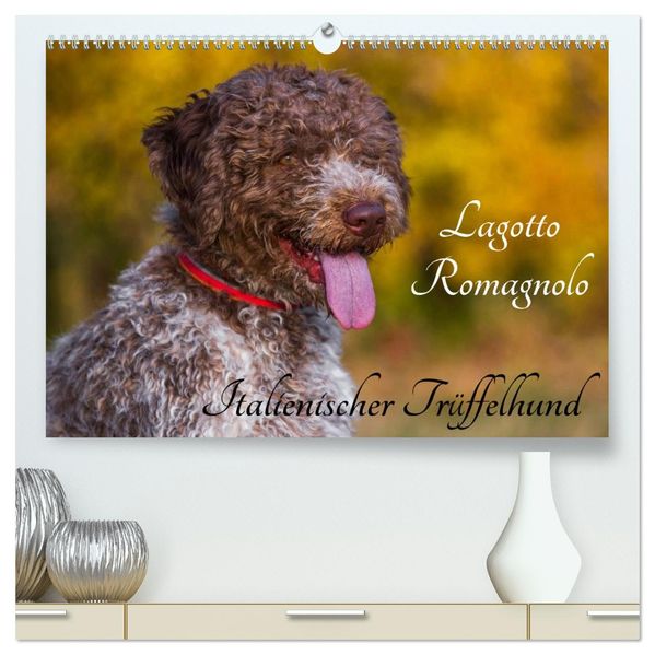 Lagotto Romagnolo - Italienischer Trüffelhund (hochwertiger Premium Wandkalender 2027 DIN A2 quer) Kunstdruck in Hochglanz