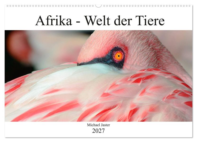 Afrika - Welt der Tiere (Wandkalender 2027 DIN A2 quer) CALVENDO Monatskalender