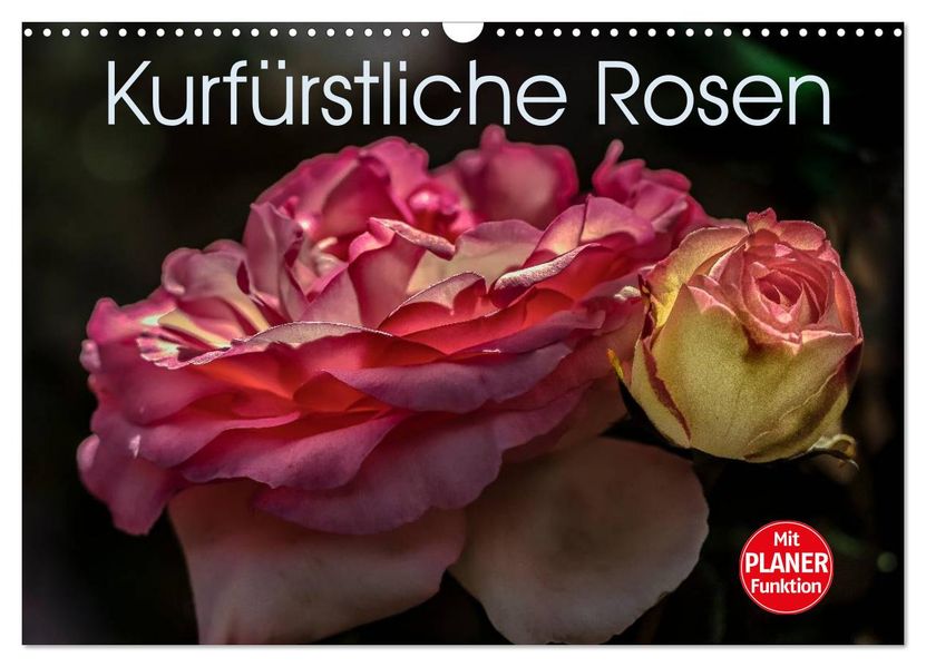 Kurfürstliche Rosen Eltville am Rhein (Wandkalender 2027 DIN A3 quer) CALVENDO Monatskalender