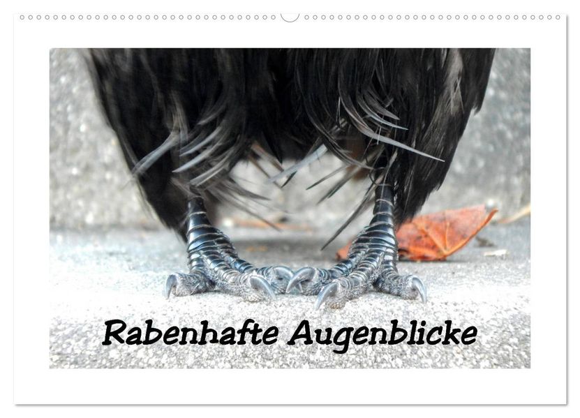 Rabenhafte Augenblicke (Wandkalender 2027 DIN A2 quer) CALVENDO Monatskalender