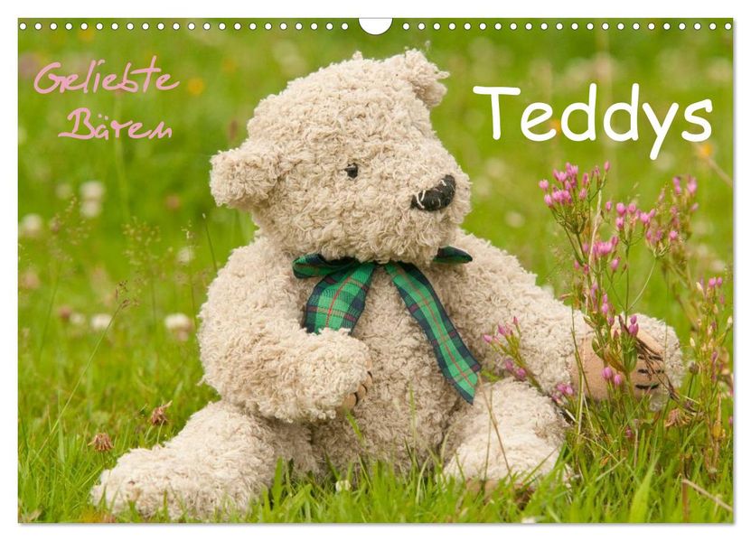 Geliebte Bären - Teddys (Wandkalender 2027 DIN A3 quer) CALVENDO Monatskalender