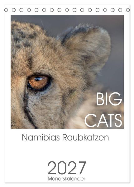 BIG CATS - Namibias Raubkatzen (Tischkalender 2027 DIN A5 hoch) CALVENDO Monatskalender