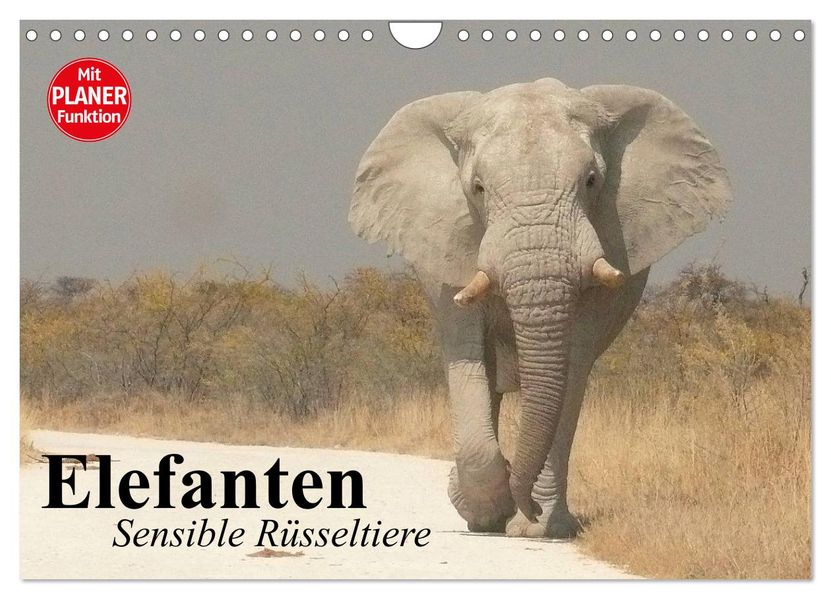 Elefanten. Sensible Rüsseltiere (Wandkalender 2027 DIN A4 quer) CALVENDO Monatskalender