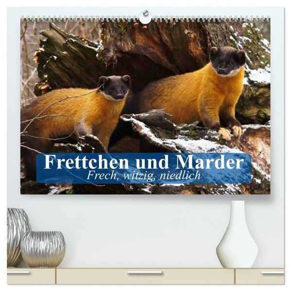 Frettchen und Marder. Frech witzig niedlich (hochwertiger Premium Wandkalender 2027 DIN A2 quer) Kunstdruck in Hochglanz