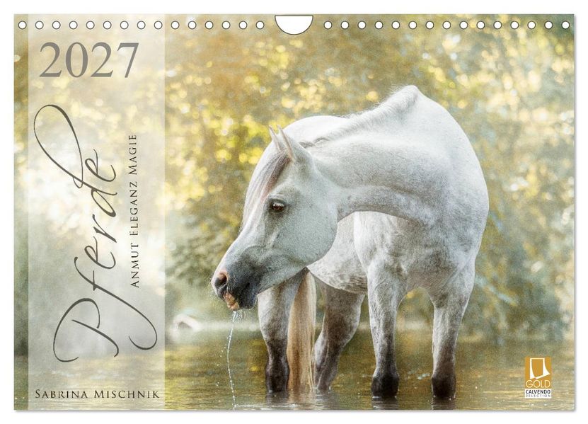 Pferde - Anmut Eleganz Magie (Wandkalender 2027 DIN A4 quer) CALVENDO Monatskalender