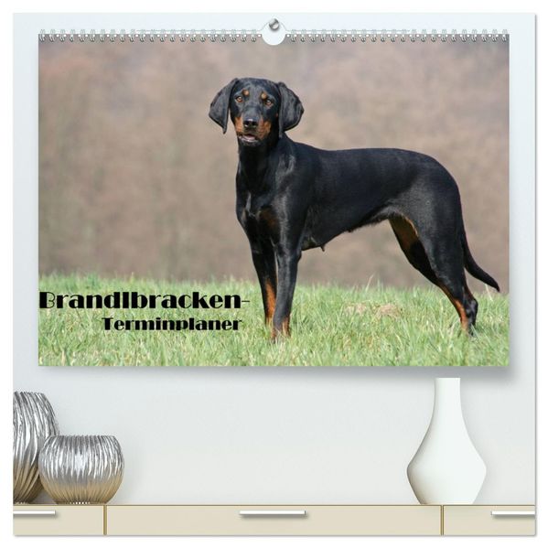 Der Brandlbracken-Terminplaner (hochwertiger Premium Wandkalender 2027 DIN A2 quer) Kunstdruck in Hochglanz