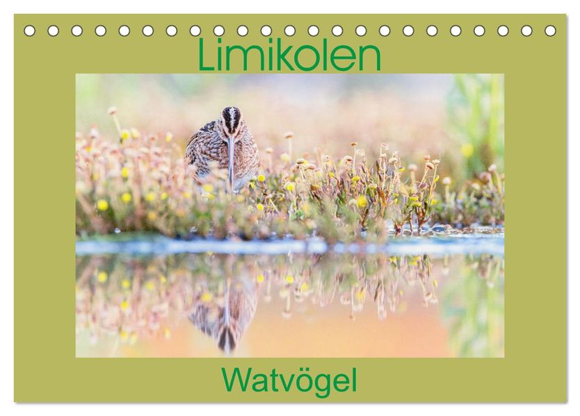 Limikolen - Watvögel aus Europa (Tischkalender 2027 DIN A5 quer) CALVENDO Monatskalender