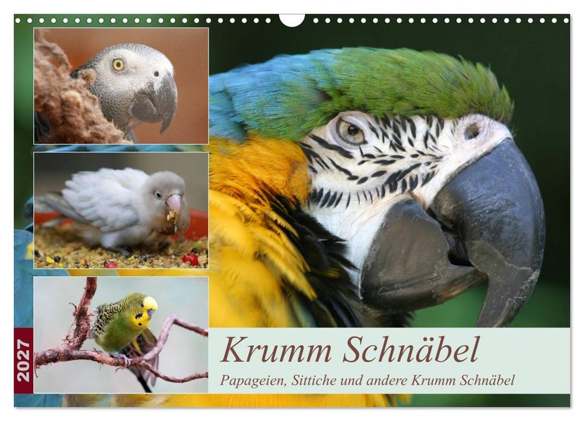 Krumm Schnäbel - Papageien Sittiche und andere Krumm Schnäbel (Wandkalender 2027 DIN A3 quer) CALVENDO Monatskalender