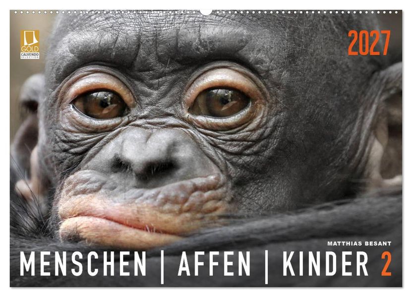 MENSCHENAFFENKINDER 2 (Wandkalender 2027 DIN A2 quer) CALVENDO Monatskalender
