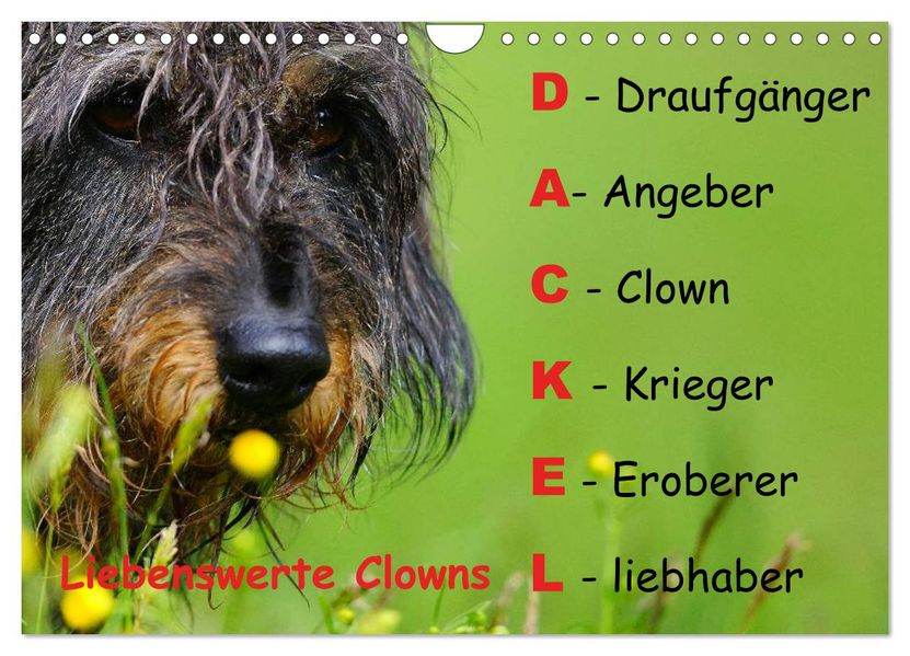 Liebenswerte Clowns (Wandkalender 2027 DIN A4 quer) CALVENDO Monatskalender