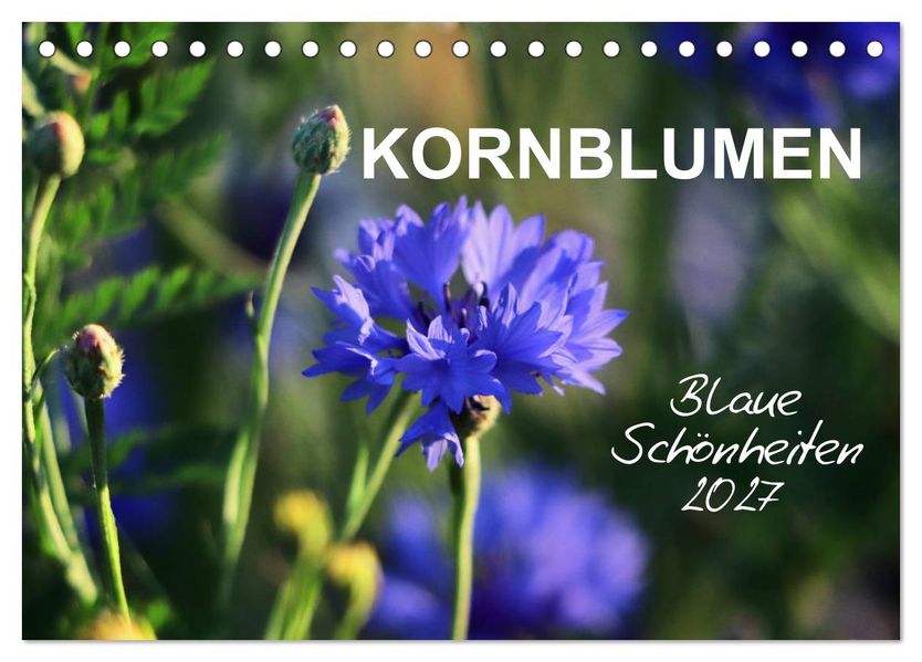 Kornblumen - Blaue Schönheiten (Tischkalender 2027 DIN A5 quer) CALVENDO Monatskalender