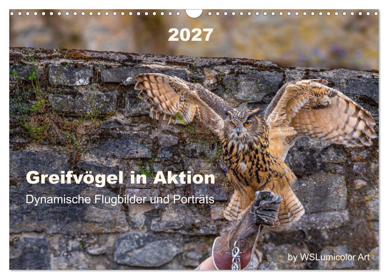 Greifvögel in Aktion - Dynamische Flugbilder und Porträts (Wandkalender 2027 DIN A3 quer) CALVENDO Monatskalender