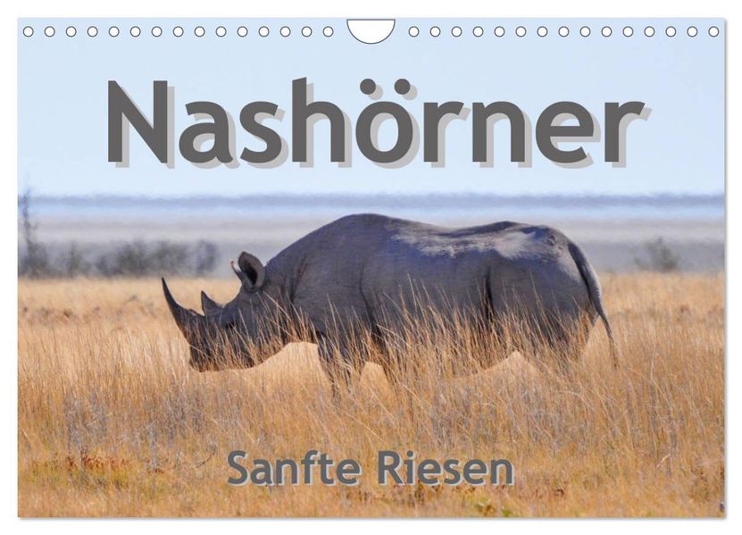 Nashörner - Sanfte Riesen (Wandkalender 2027 DIN A4 quer) CALVENDO Monatskalender
