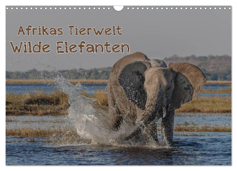 Afrikas Tierwelt - Wilde Elefanten (Wandkalender 2027 DIN A3 quer) CALVENDO Monatskalender