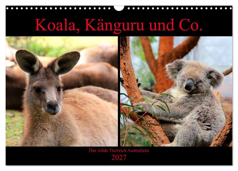 Koala Känguru und Co. - Das wilde Tierreich Australiens (Wandkalender 2027 DIN A3 quer) CALVENDO Monatskalender