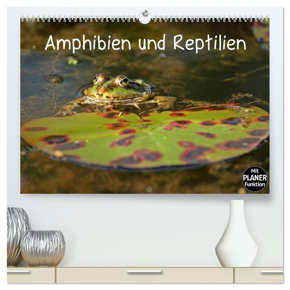 Amphibien und Reptilien (hochwertiger Premium Wandkalender 2027 DIN A2 quer) Kunstdruck in Hochglanz