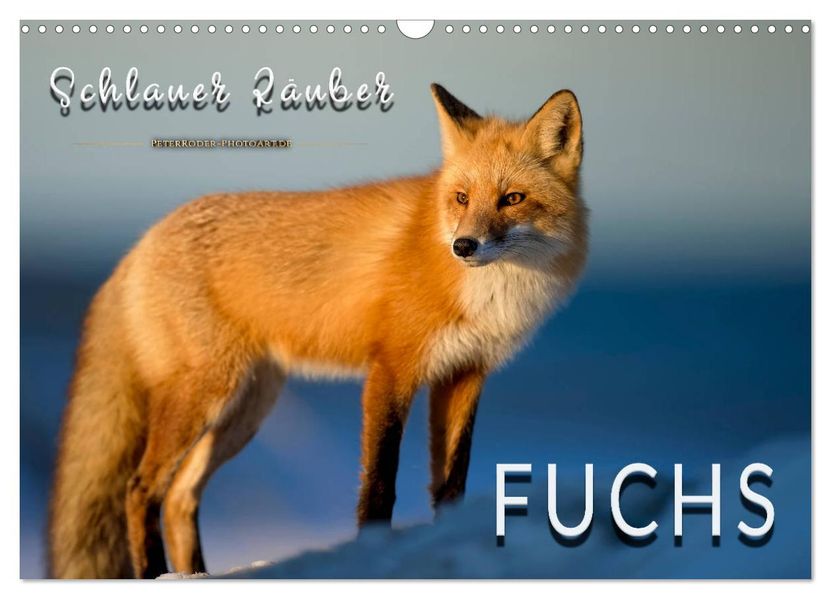 Fuchs - schlauer Räuber (Wandkalender 2027 DIN A3 quer) CALVENDO Monatskalender