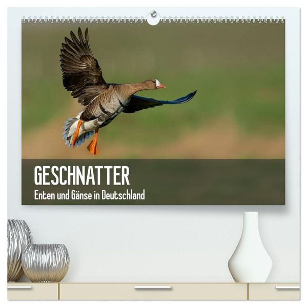 Geschnatter - Enten und Gänse in Deutschland (hochwertiger Premium Wandkalender 2027 DIN A2 quer) Kunstdruck in Hochglanz