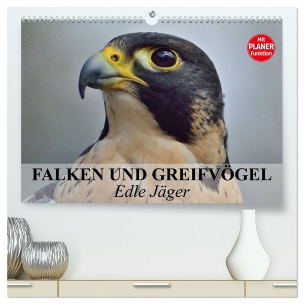 Falken und Greifvögel - Edle Jäger (hochwertiger Premium Wandkalender 2027 DIN A2 quer) Kunstdruck in Hochglanz