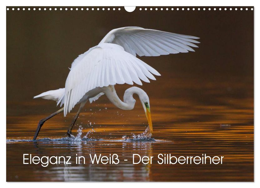 Eleganz in Weiß - Der Silberreiher (Wandkalender 2027 DIN A3 quer) CALVENDO Monatskalender