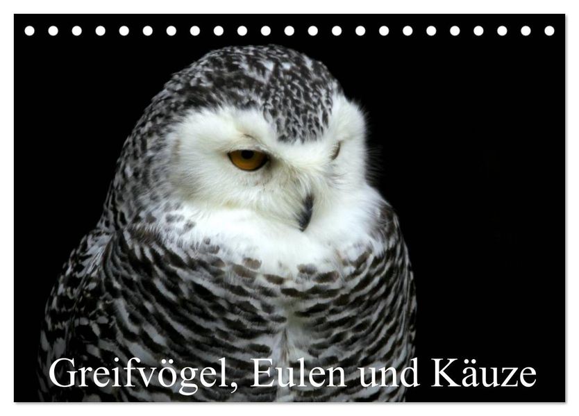 Greifvögel Eulen und Käuze (Tischkalender 2027 DIN A5 quer) CALVENDO Monatskalender