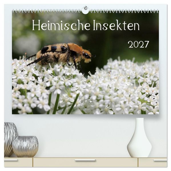 Heimische Insekten 2027 (hochwertiger Premium Wandkalender 2027 DIN A2 quer) Kunstdruck in Hochglanz