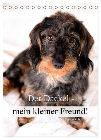 Der Dackel - mein kleiner Freund (Tischkalender 2027 DIN A5 hoch) CALVENDO Monatskalender