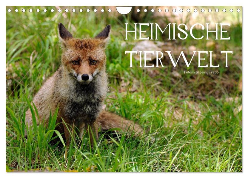 Heimische Tierwelt (Wandkalender 2027 DIN A4 quer) CALVENDO Monatskalender