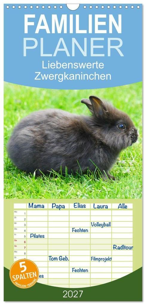 Familienplaner 2027 - Liebenswerte Zwergkaninchen mit 5 Spalten (Wandkalender 21 x 45 cm) CALVENDO