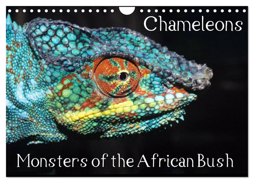 Chameleons Monsters of the African Bush (Wall Calendar 2027 DIN A4 landscape) CALVENDO 12 Month Wall Calendar