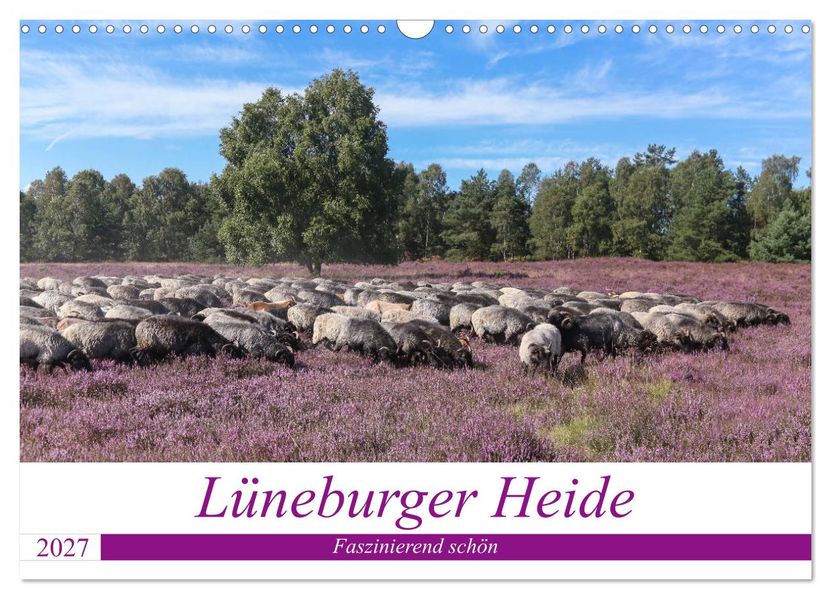 Lüneburger Heide - Faszinierend schön (Wandkalender 2027 DIN A3 quer) CALVENDO Monatskalender