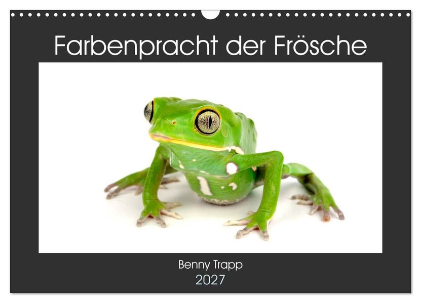 Farbenpracht der Frösche (Wandkalender 2027 DIN A3 quer) CALVENDO Monatskalender