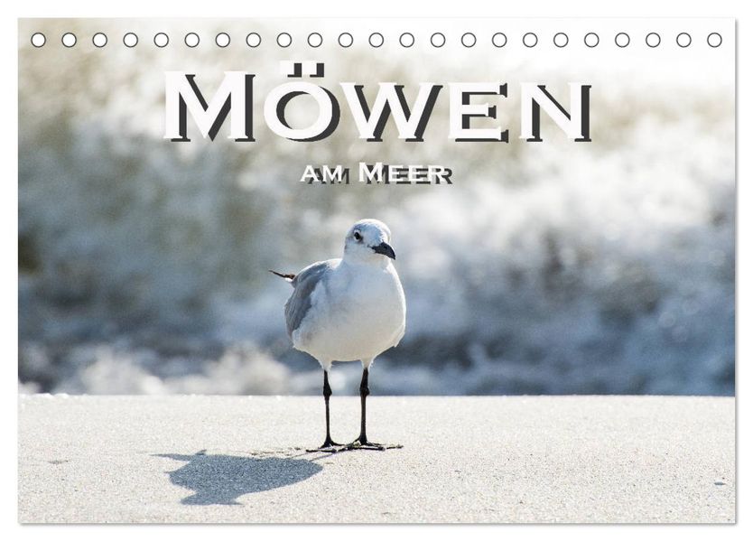 Möwen am Meer (Tischkalender 2027 DIN A5 quer) CALVENDO Monatskalender