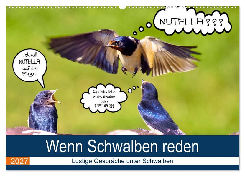 Wenn Schwalben reden (Wandkalender 2027 DIN A2 quer) CALVENDO Monatskalender
