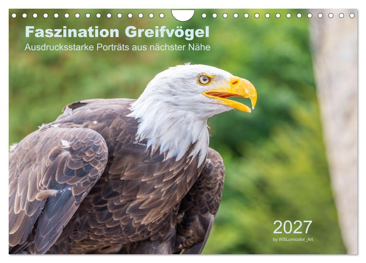 Faszination Greifvögel - Ausdrucksstarke Porträts aus nächster Nähe (Wandkalender 2027 DIN A4 quer) CALVENDO Monatskalender