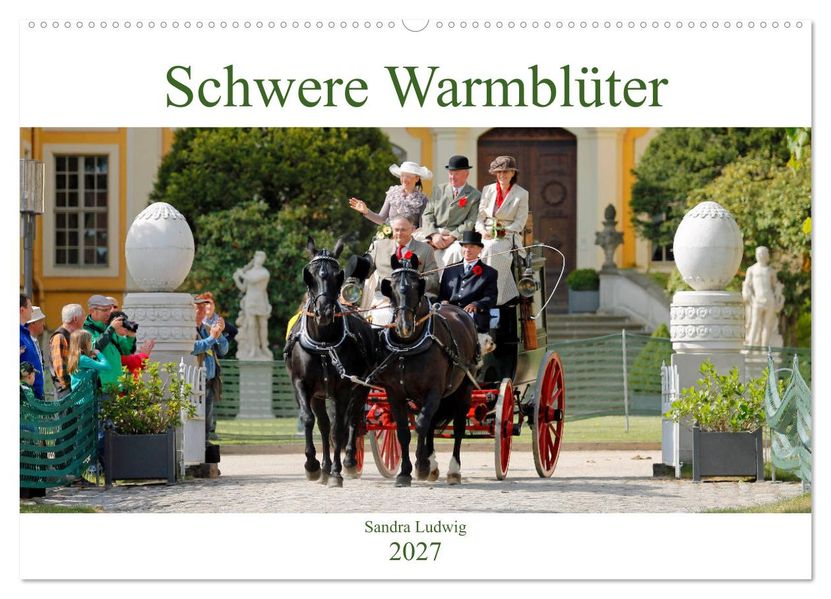 Schwere Warmblüter 2027 (Wandkalender 2027 DIN A2 quer) CALVENDO Monatskalender