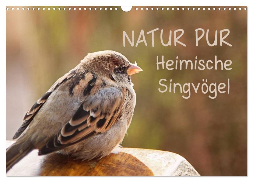 NATUR PUR Heimische Singvögel (Wandkalender 2027 DIN A3 quer) CALVENDO Monatskalender