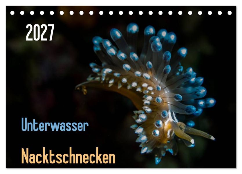 Unterwasser - Nacktschnecken 2027 (Tischkalender 2027 DIN A5 quer) CALVENDO Monatskalender