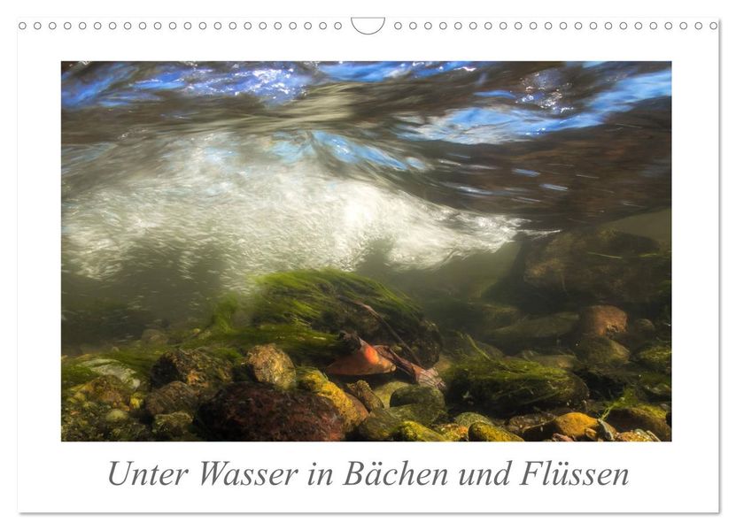 Unter Wasser in Bächen und Flüssen (Wandkalender 2027 DIN A3 quer) CALVENDO Monatskalender