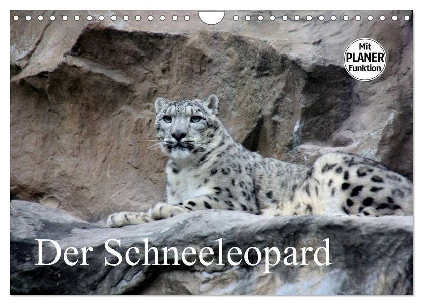 Der Schneeleopard (Wandkalender 2027 DIN A4 quer) CALVENDO Monatskalender