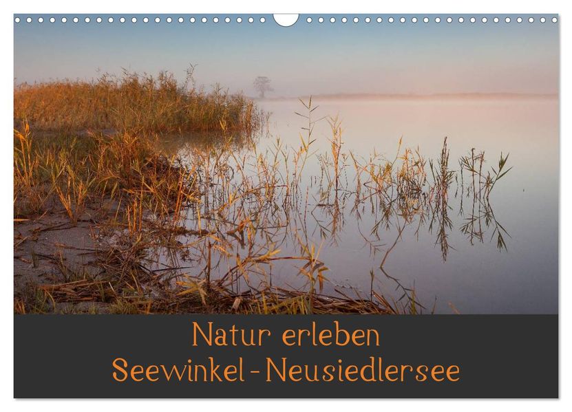Natur erleben Seewinkel-Neusiedlersee (Wandkalender 2027 DIN A3 quer) CALVENDO Monatskalender
