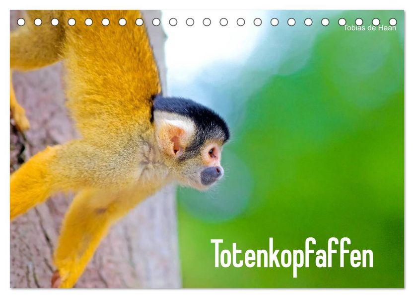 Totenkopfaffen (Tischkalender 2027 DIN A5 quer) CALVENDO Monatskalender