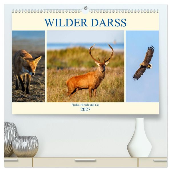 Wilder Darß - Fuchs Hirsch und Co. 2027 (hochwertiger Premium Wandkalender 2027 DIN A2 quer) Kunstdruck in Hochglanz