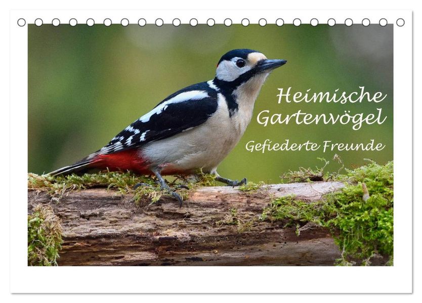 Heimische Gartenvögel - Gefiederte Freunde (Tischkalender 2027 DIN A5 quer) CALVENDO Monatskalender
