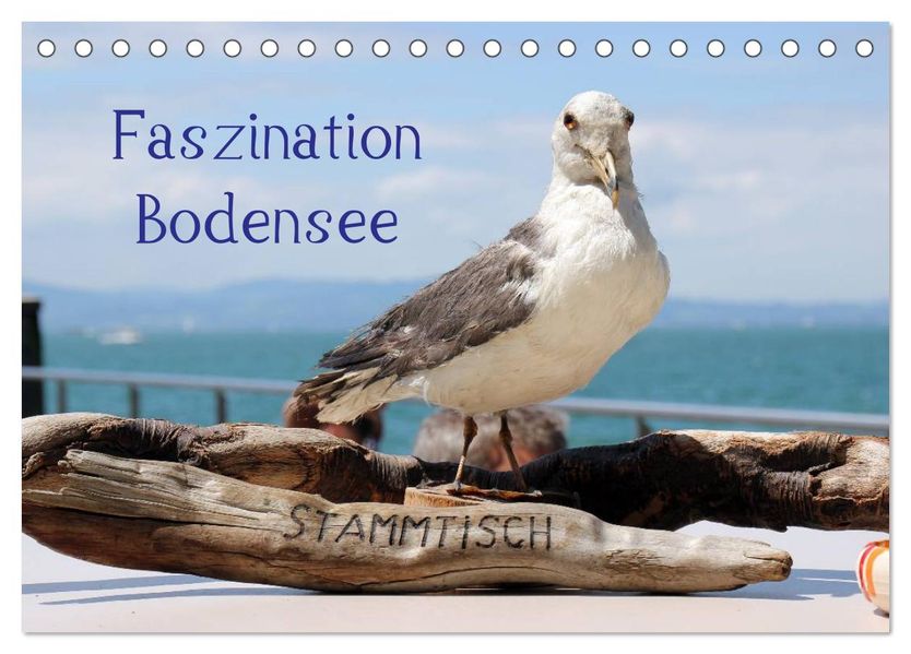 Faszination Bodensee (Tischkalender 2027 DIN A5 quer) CALVENDO Monatskalender