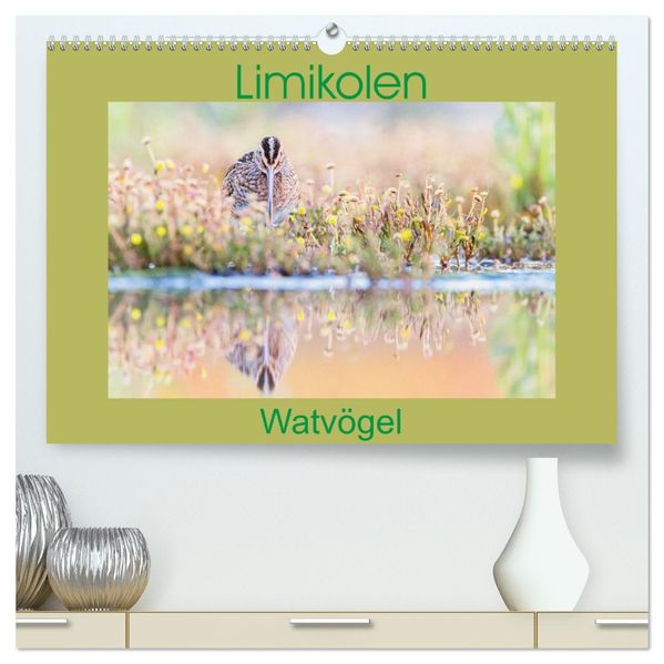 Limikolen - Watvögel aus Europa (hochwertiger Premium Wandkalender 2027 DIN A2 quer) Kunstdruck in Hochglanz