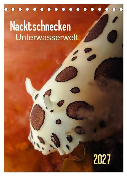 Nacktschnecken - Unterwasserwelt 2027 (Tischkalender 2027 DIN A5 hoch) CALVENDO Monatskalender