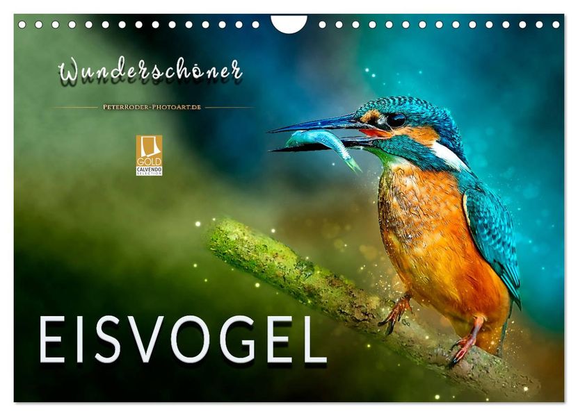 Wunderschöner Eisvogel (Wandkalender 2027 DIN A4 quer) CALVENDO Monatskalender