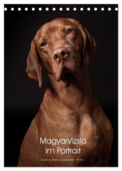 Magyar Vizsla im Portrait (Tischkalender 2027 DIN A5 hoch) CALVENDO Monatskalender