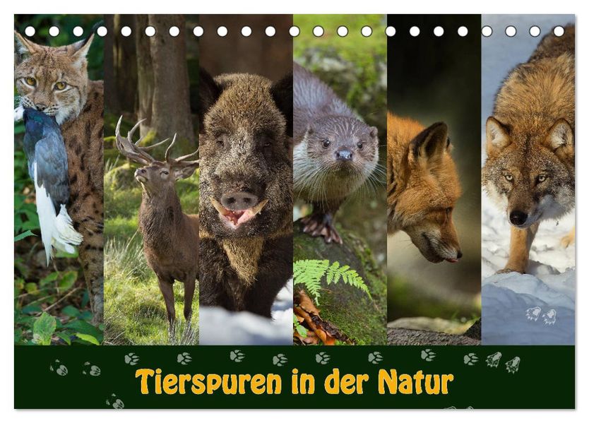 Tierspuren in der Natur (Tischkalender 2027 DIN A5 quer) CALVENDO Monatskalender